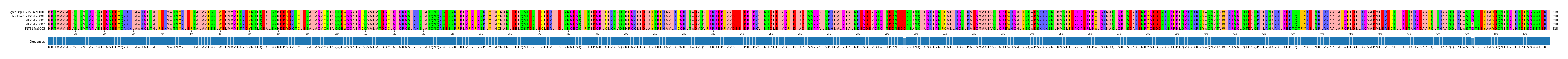 Multiple Alignments (by translate haplotype frequency)