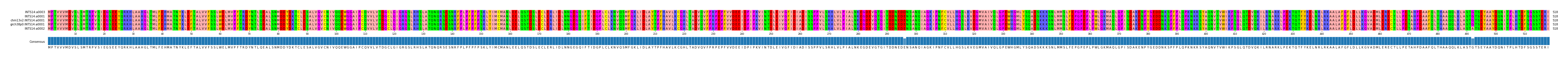 Multiple Alignments (by translate haplotype similarity)