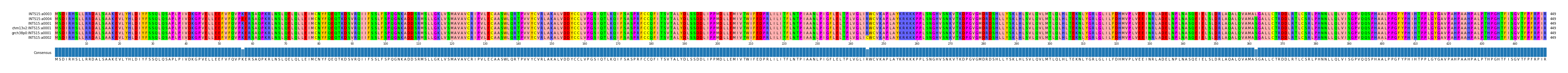 Multiple Alignments (by translate haplotype similarity)