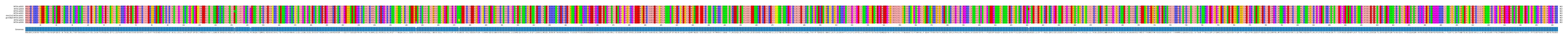 Multiple Alignments (by translate haplotype similarity)