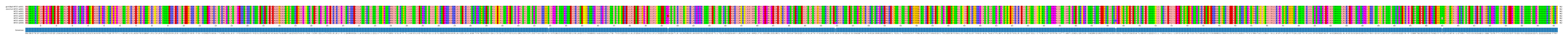 Multiple Alignments (by translate haplotype frequency)