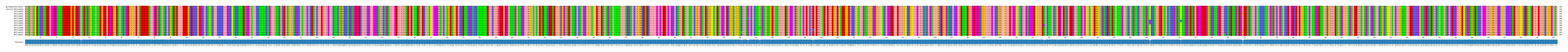 Multiple Alignments (by translate haplotype frequency)