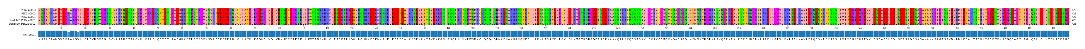 Multiple Alignments (by translate haplotype similarity)