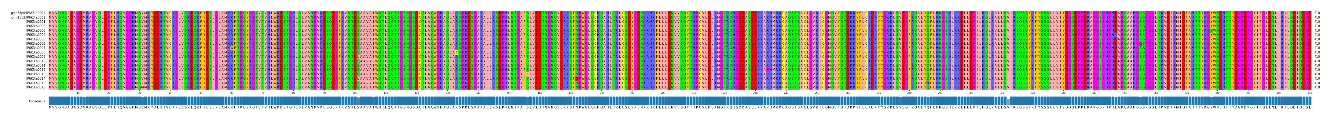 Multiple Alignments (by translate haplotype frequency)