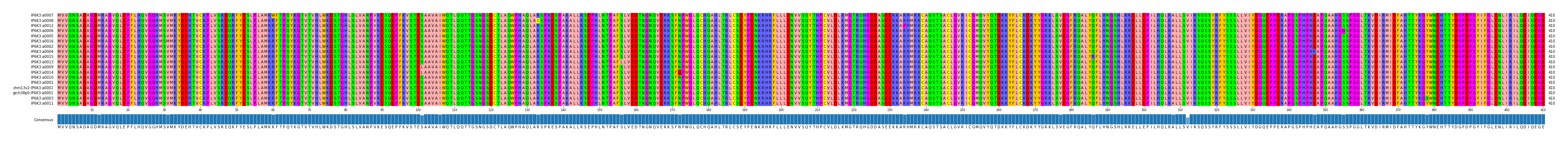 Multiple Alignments (by translate haplotype similarity)
