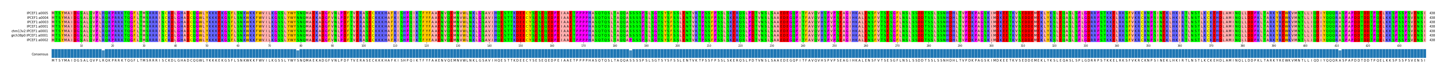 Multiple Alignments (by translate haplotype similarity)