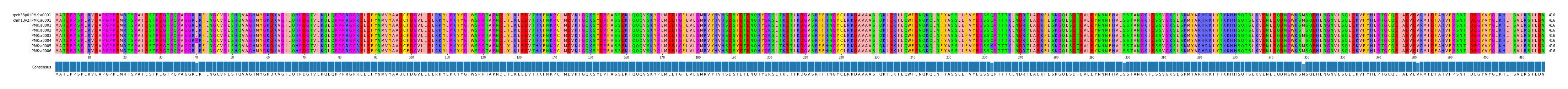 Multiple Alignments (by translate haplotype frequency)