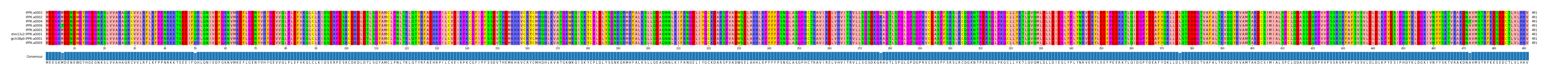 Multiple Alignments (by translate haplotype similarity)