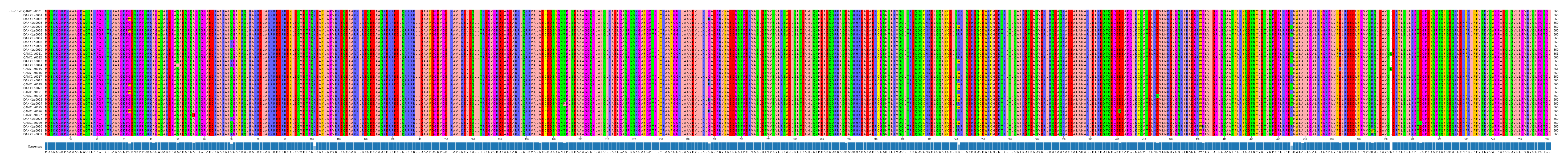 Multiple Alignments (by translate haplotype frequency)