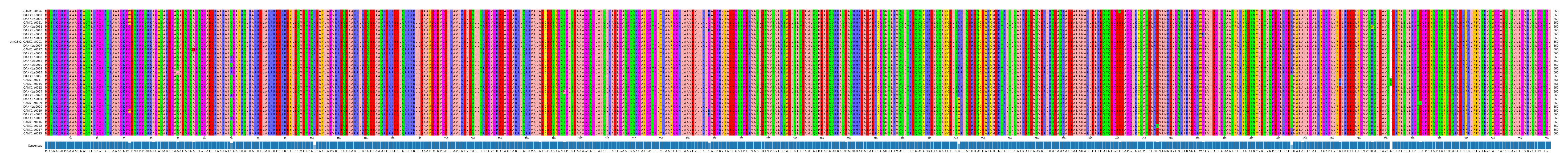 Multiple Alignments (by translate haplotype similarity)