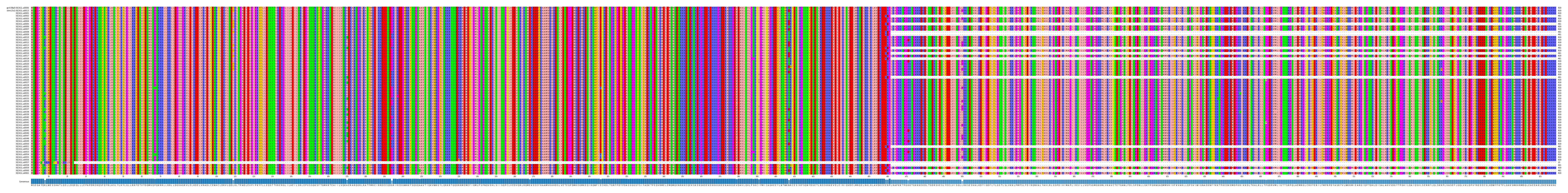 Multiple Alignments (by translate haplotype frequency)