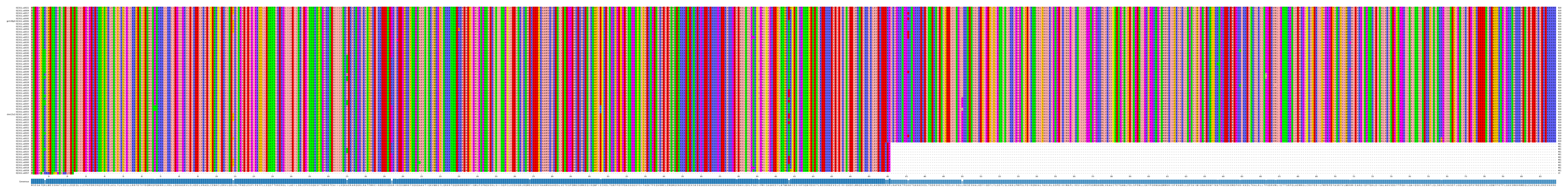 Multiple Alignments (by translate haplotype similarity)