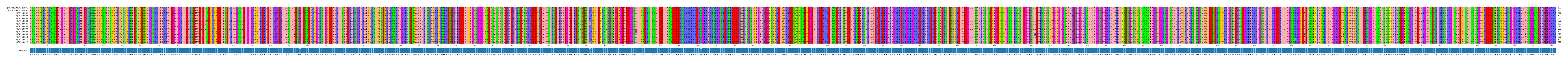 Multiple Alignments (by translate haplotype frequency)