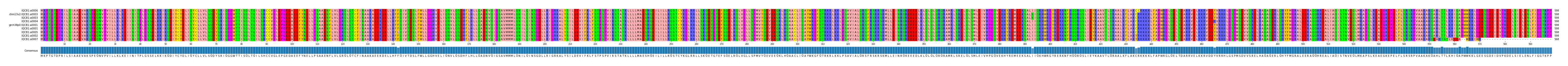 Multiple Alignments (by translate haplotype similarity)