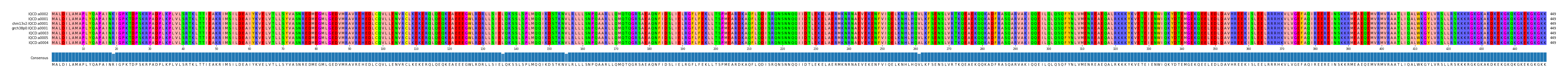Multiple Alignments (by translate haplotype similarity)