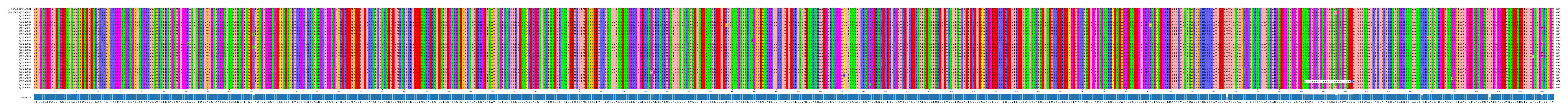 Multiple Alignments (by translate haplotype frequency)
