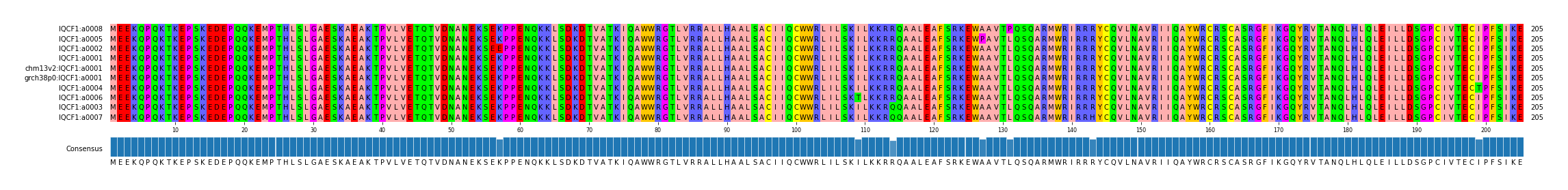 Multiple Alignments (by translate haplotype similarity)