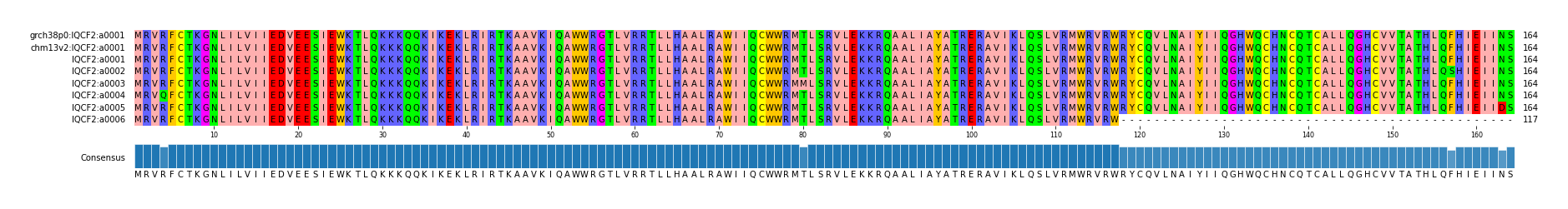 Multiple Alignments (by translate haplotype frequency)