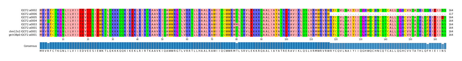 Multiple Alignments (by translate haplotype similarity)