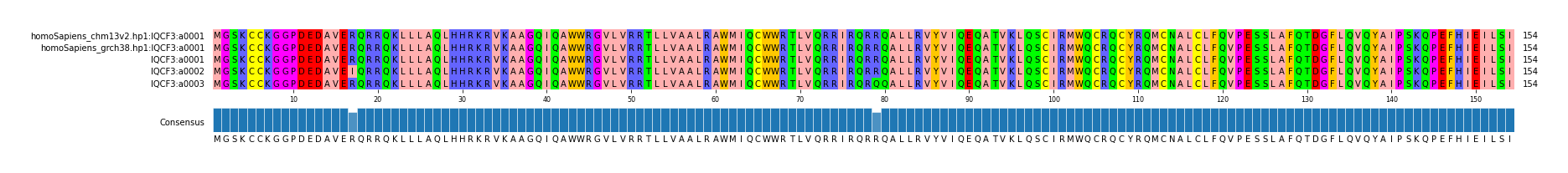 Multiple Alignments (by translate haplotype frequency)