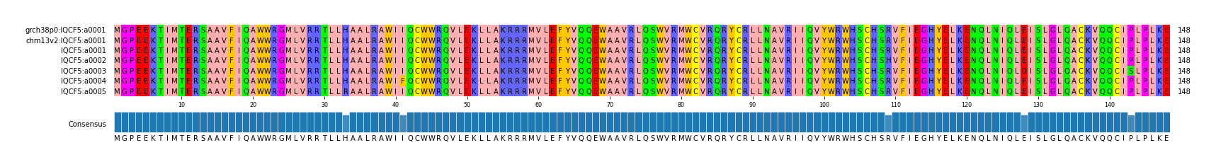 Multiple Alignments (by translate haplotype frequency)