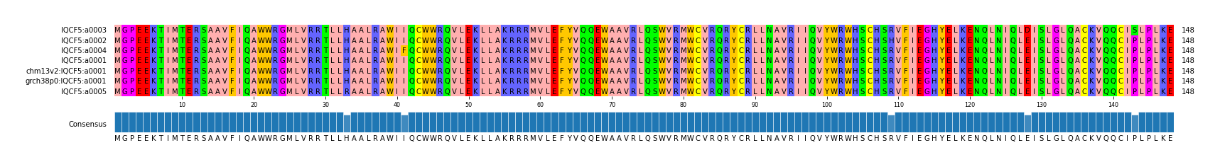 Multiple Alignments (by translate haplotype similarity)
