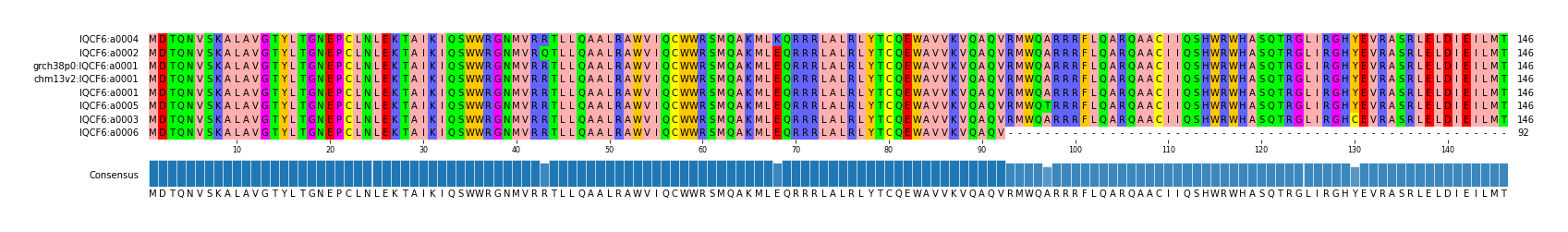 Multiple Alignments (by translate haplotype similarity)