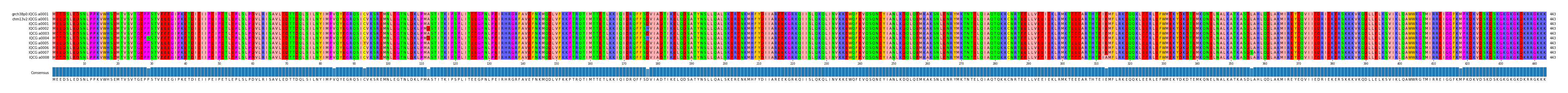 Multiple Alignments (by translate haplotype frequency)