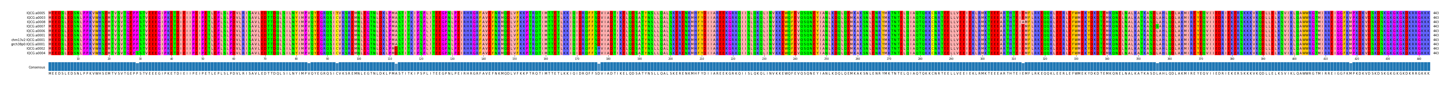 Multiple Alignments (by translate haplotype similarity)
