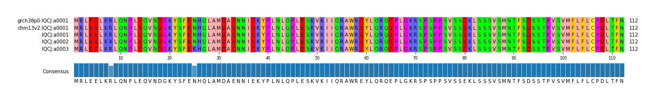 Multiple Alignments (by translate haplotype frequency)
