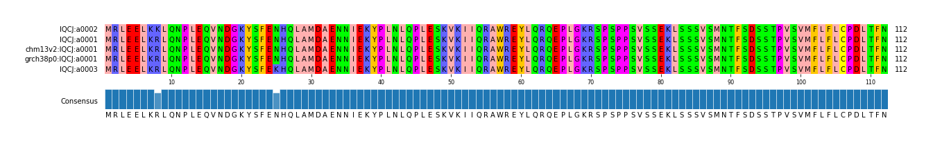 Multiple Alignments (by translate haplotype similarity)