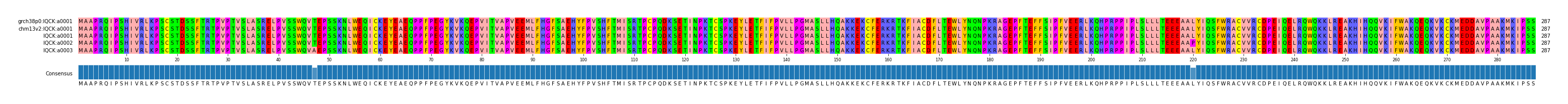 Multiple Alignments (by translate haplotype frequency)