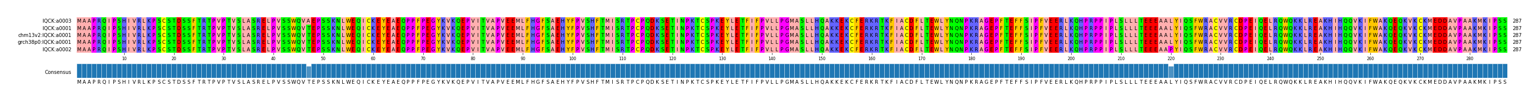 Multiple Alignments (by translate haplotype similarity)