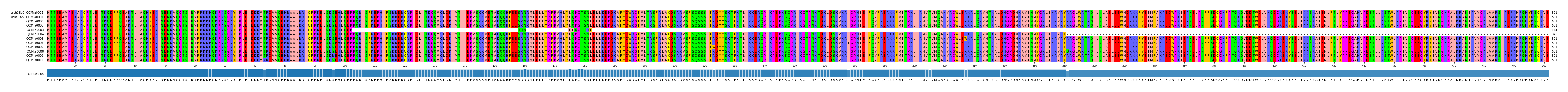 Multiple Alignments (by translate haplotype frequency)