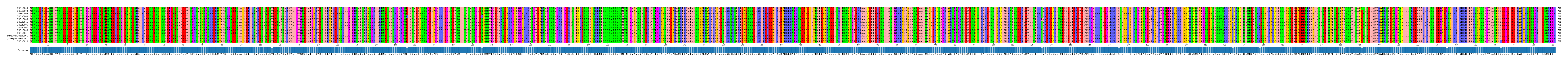 Multiple Alignments (by translate haplotype similarity)