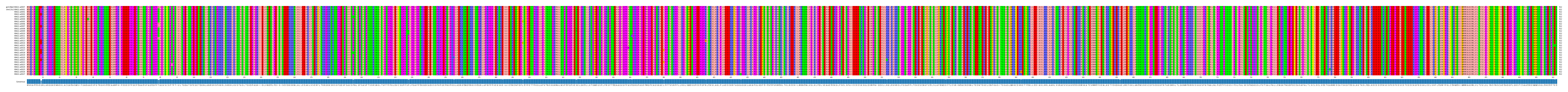 Multiple Alignments (by translate haplotype frequency)