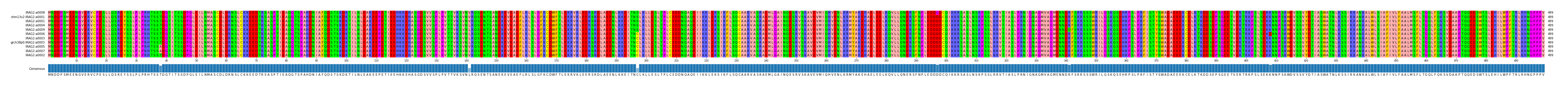Multiple Alignments (by translate haplotype similarity)