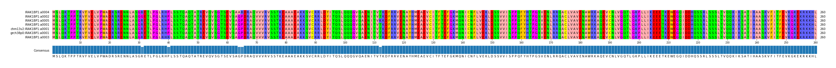 Multiple Alignments (by translate haplotype similarity)