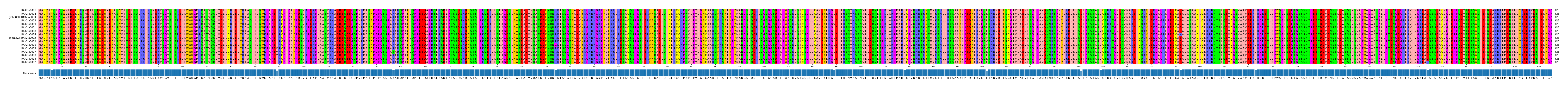 Multiple Alignments (by translate haplotype similarity)