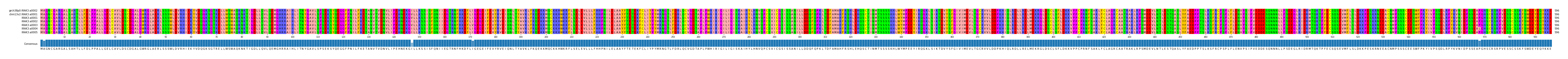Multiple Alignments (by translate haplotype frequency)