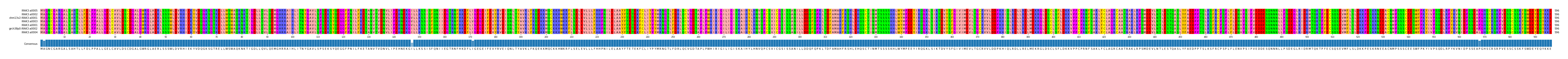 Multiple Alignments (by translate haplotype similarity)