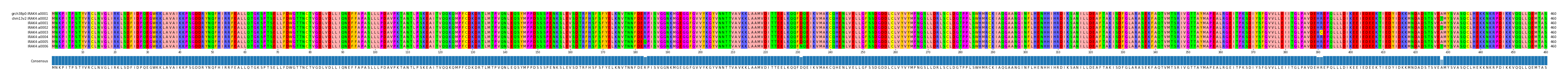 Multiple Alignments (by translate haplotype frequency)