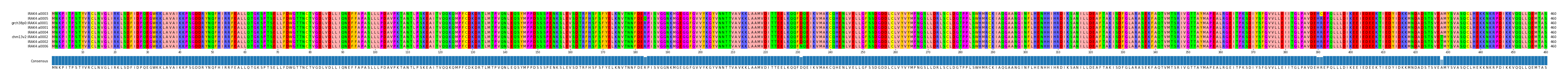 Multiple Alignments (by translate haplotype similarity)