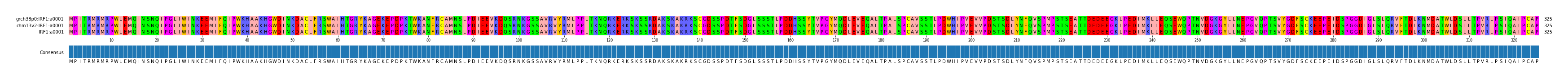 Multiple Alignments (by translate haplotype similarity)