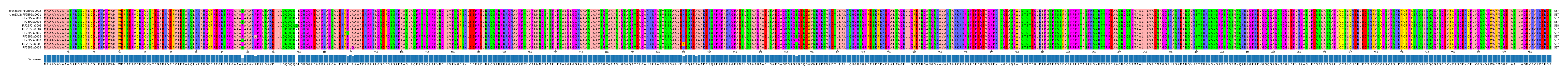 Multiple Alignments (by translate haplotype frequency)