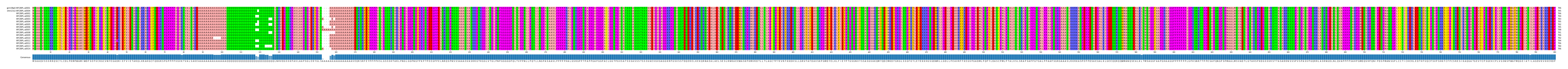 Multiple Alignments (by translate haplotype frequency)