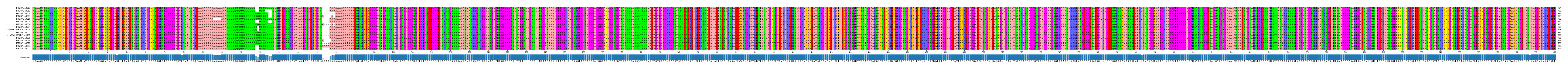 Multiple Alignments (by translate haplotype similarity)