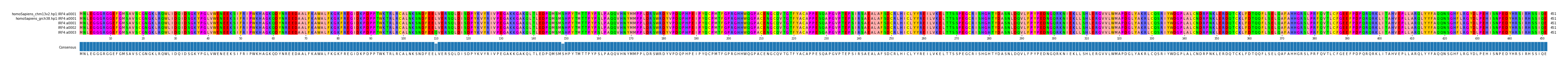 Multiple Alignments (by translate haplotype frequency)