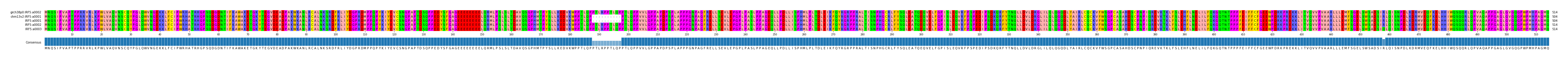 Multiple Alignments (by translate haplotype frequency)