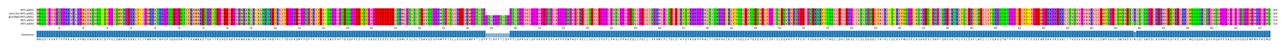 Multiple Alignments (by translate haplotype similarity)